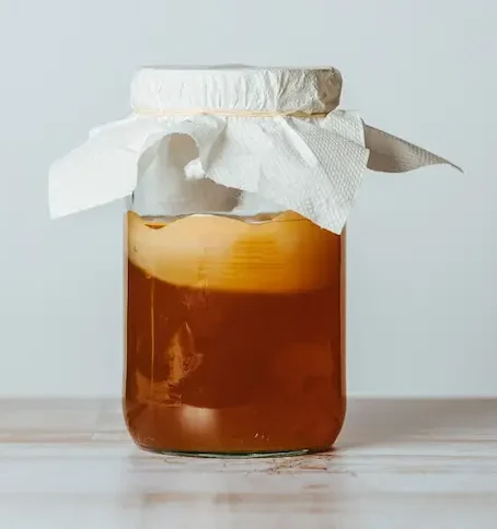 KOMbucha-scoby